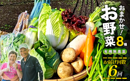 【6回定期便】特別栽培季節のお野菜セット 8品 野菜 無農薬 有機栽培 新鮮 やさい 旬 詰合せ 国産 宮崎県 九州 送料無料 2672067 - 宮崎県えびの市