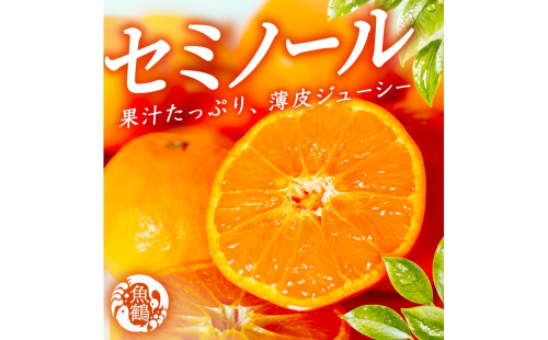 【先行予約】 セミノールオレンジ 約5kg ジューシー柑橘 和歌山県産 2672374 - 和歌山県美浜町