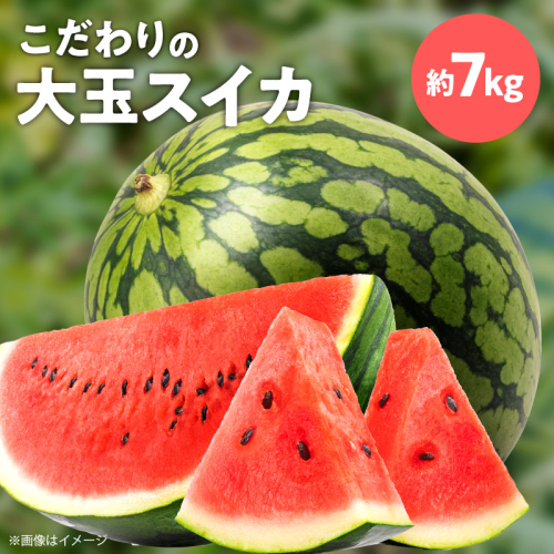 スイカ1玉(約7kg級) N0195-YA2233 2672454 - 宮崎県延岡市