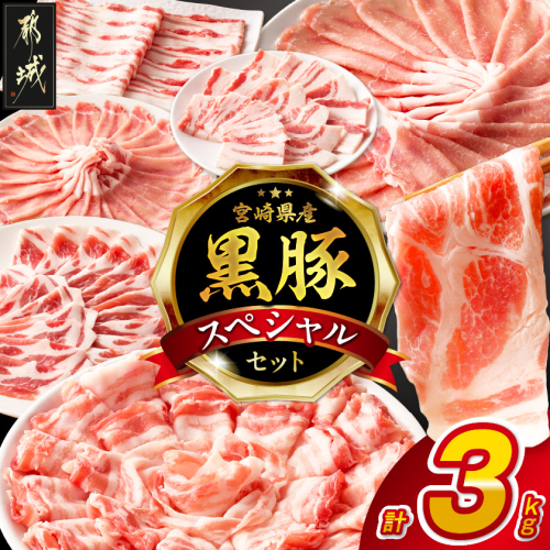 宮崎県産黒豚3kgセット_33-M6-005-3kg 2672456 - 宮崎県都城市