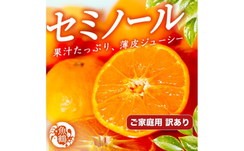 【先行予約】【訳あり・ご家庭用】 セミノールオレンジ 約5kg ジューシー柑橘 和歌山県産 2672495 - 和歌山県美浜町