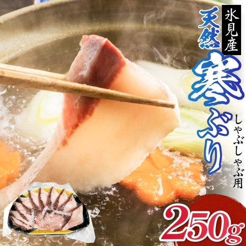 氷見産 天然寒ぶり しゃぶしゃぶ用 250g 富山県 氷見市 ブリ ぶりしゃぶ 鍋 2672496 - 富山県氷見市