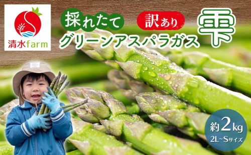 【2027年4月～発送】訳あり 富良野産 採れたて直送! グリーンアスパラ 「雫」2L～Sサイズ【約2kg】 (清水farm) アスパラ アスパラガス 野菜 新鮮 季節限定 北海道 富良野 ふらの 2672621 - 北海道富良野市