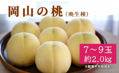 桃 2026年 先行予約 特選 岡山の白桃 7～9玉 約2kg 晩生種 もも モモ 岡山県産 国産 フルーツ 果物 ギフト いろは堂 2672707 - 岡山県玉野市
