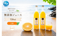 はっさく 100% ジュース / 八朔 ストレート 果汁 無添加 柑橘 和歌山 7000円 720ml ※北海道・沖縄・離島への配送不可 //drink 【ikd100-has720-2A】