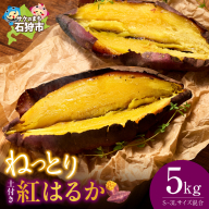 【先行予約】石狩産 土付サツマイモ 紅はるか（S～3Lサイズ混在） 5kg【10月発送】｜ふるさと納税 野菜 さつまいも 北海道 石狩市