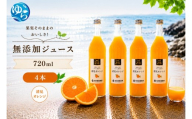清見 オレンジ 100% ジュース / 清見オレンジ ストレート 果汁 無添加 柑橘 和歌山 14000円 720ml ※北海道・沖縄・離島への配送不可 //drink 【ikd100-kiy720-4】