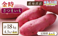 【定期便4ヶ月】さつまいも 金時 4.5kg・H132