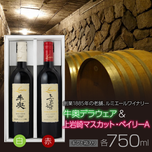牛奥デラウェア  & 上岩崎マスカット・ベイリーA  【ギフト箱入】　ギフトセット FAM026 2673324 - 山梨県富士河口湖町