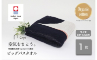 (今治タオルブランド認定品)Citya ビッグバスタオル 1枚 (Chic) [I003980BBT1CH] 今治タオル タオル バスタオル 大きめ 今治バスタオル 毛羽落ち 吸水 ふわふわ 超無撚糸 スーパーゼロ ギフト ギフトセット お祝い 贈り物 日本製 プレーリードッグ