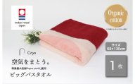 (今治タオルブランド認定品)Citya ビッグバスタオル 1枚 (Elegant) [I003980BBT1EL] 今治タオル タオル バスタオル 大きめ 今治バスタオル 毛羽落ち 吸水 ふわふわ 超無撚糸 スーパーゼロ ギフト ギフトセット お祝い 贈り物 日本製 プレーリードッグ