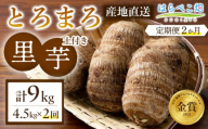 【定期便2ヶ月】里芋『とろまろ』土付き 4.5kg・H138