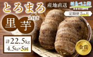 【定期便5ヶ月】里芋『とろまろ』土付き 4.5kg・H141