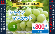 シャインマスカット 大房 約800g以上(1房) 数量限定 2026年先行予約