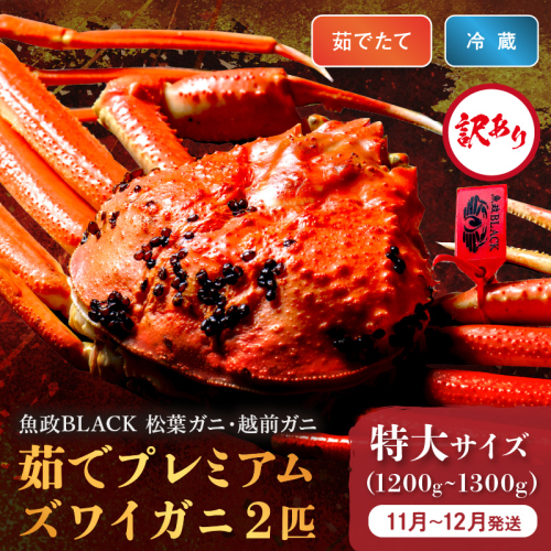 訳あり　【蟹の匠 魚政】茹で　プレミアムズワイガニ 魚政BLACK（松葉ガニ・越前ガニ） 特大サイズ（1200～1300g） 2匹セット　(11月～12月発送) 2673562 - 京都府京丹後市