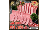 飛騨牛　赤身・霜降り焼肉2種食べ比べセット(ヒレ・三角バラカルビ)計1.2kg(各600g)タレ付き【1746241】