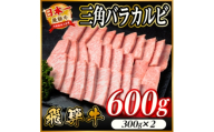 飛騨牛 三角バラカルビ焼肉 600g(300g×2)タレ付き BBQ用 小分け【1746326】