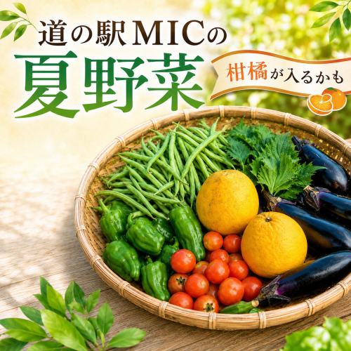 愛南町 旬 の 夏野菜 セット 柑橘 入りの場合も 最低3～4種類 野菜 サラダ 新鮮 葉物 根菜 香味 定番野菜 河内晩柑 かわちばんかん なす ピーマン 愛媛 愛南 愛南総研 道の駅MIC 2673941 - 愛媛県愛南町