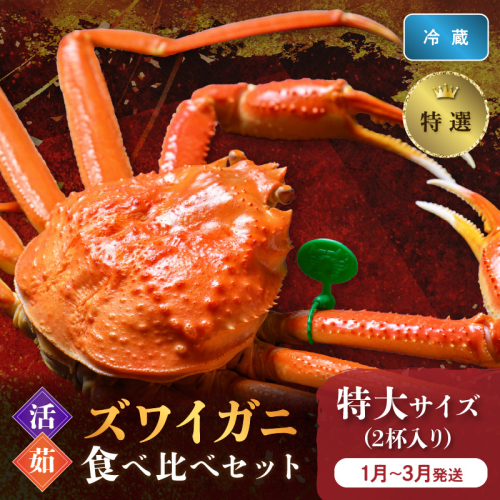【蟹の匠 魚政】　【京丹後産 特撰】ズワイガニ 食べ比べセット〈活×茹〉特大サイズ2杯入り(1月～3月発送） 2673999 - 京都府京丹後市