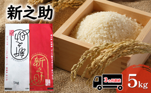 【先行予約 3か月連続定期便】令和8年産米 新之助 5kg お米 精米新潟県田上町 2674006 - 新潟県田上町