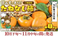 [先行予約][訳あり][2026年10月下旬〜11月中旬に発送] 甘みすっきり!あわらのたねなし柿 約8kg(32個〜40個)(ご家庭用) / 果物 フルーツ かき 種なし 産地直送 期間限定 ※2026年10月下旬〜11月中旬に発送 [aw031-a004_10]