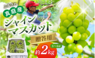 [贈答用]岡山産 シャインマスカット 約2kg| シャインマスカット 果物 フルーツ マスカット ますかっと くだもの 先行予約 ブドウ 葡萄 ぶどう 真庭市 シャインマスカット しゃいんますかっと shinemuscat ブドウ 葡萄 果物 くだもの フルーツ 新着 人気 岡山県産シャインマスカット マスカット 産地直送 数量限定 食品 シャイン ぶどう [beac001-01]