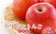 お手軽〈ご家庭用〉山形県産サンふじりんご 定期便（全2回） FSY-2830