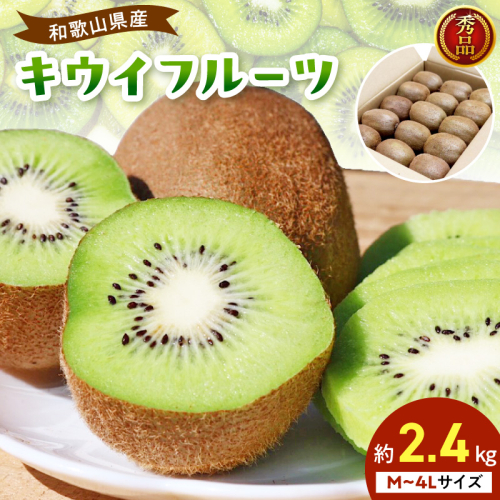 【2027年1月下旬から順次発送】和歌山産　キウイフルーツ　M～4Lサイズ　約2.4kg　秀品 _BL6176 2674588 - 和歌山県湯浅町