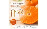 【急いで確保】 シャキッと果肉 【甘平】 5kg 愛媛県産 【2027年1月下旬頃から順次発送】 | みかん ミカン mikan 蜜柑 訳ありフルーツ 柑橘 果物 おすすめ 高級 お勧め 愛媛三大高級柑橘 ( 紅まどんな せとか 甘平 ) お取り寄せ ギフト 愛媛県 松山市