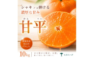 【急いで確保】 シャキッと果肉 【甘平】 10kg 愛媛県産 【2027年1月下旬頃から順次発送】 | みかん ミカン mikan 蜜柑 訳ありフルーツ 柑橘 果物 おすすめ 高級 お勧め 愛媛三大高級柑橘 ( 紅まどんな せとか 甘平 ) お取り寄せ ギフト 愛媛県 松山市