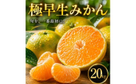【待望の新登場】 秋の先取り 【極早生みかん】 20kg 愛媛県産 【2026年10月上旬頃から順次発送】 | 温州みかん ミカン ごくわせ mikan みかん 蜜柑 訳ありフルーツ 柑橘 果物 おすすめ お勧め お取り寄せ ギフト 愛媛県 松山市