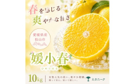 [知る人ぞ知る] 驚きの甘さ [媛小春] 10kg 愛媛県産 [2027年1月下旬頃から順次発送] | みかん ミカン mikan 蜜柑 訳ありフルーツ 柑橘 果物 おすすめ お勧め お取り寄せ ギフト 愛媛県 松山市