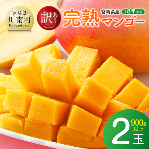 【令和8年発送】ご自宅用宮崎県産完熟マンゴー　2玉　900g以上 【 果物 フルーツ マンゴー 宮崎県産 完熟マンゴー みやざきマンゴー 先行予約 】 2674957 - 宮崎県川南町