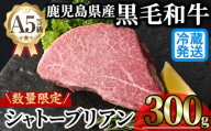 [新鮮チルド 数量限定希少部位]鹿児島県産A5黒毛和牛“極厚"シャトーブリアン (計300g・300g×1枚) 冷蔵 チルド シャトーブリアン 希少部位 ヒレ[KNOT]