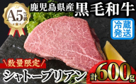 [新鮮チルド 数量限定希少部位]鹿児島県産A5黒毛和牛“極厚"シャトーブリアン(計600g・300g×2枚)冷蔵 チルド シャトーブリアン 希少部位 ヒレ[KNOT]