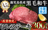 [新鮮チルド 数量限定希少部位]鹿児島県産A5黒毛和牛贅沢ご褒美ヒレステーキ(計300g・150g×2枚) 極厚 冷蔵 チルド 希少部位 ヒレ[KNOT]