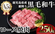 鹿児島県産A5等級黒毛和牛霜降りロース焼肉 (計250g・250g×1P) 牛肉 鹿児島県産 牛 黒毛和牛 ロース 焼肉 ロース肉 A5 冷凍 霜降り[KNOT]