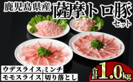 鹿児島県産薩摩トロ豚モリモリおためしパック (合計1kg) 小分け 冷凍 スライス ひき肉 ミンチ モモ ウデ 切り落とし[KNOT]A1038