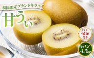 【先行予約】希少 キウイ 甘うぃ 約1.3～1.5kg（2026年11月以降発送）|果物 旬 国産 産地直送 キウイ キウイフルーツ キウィフルーツ 甘うぃ 送料無料 那珂川市 福岡県