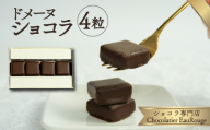 【北海道・沖縄・離島配送専用ページ】ドメーヌ ショコラ 4粒入り チョコレート カカオ 豆 冷凍 母の日 贈答 ギフト プレゼント バレンタイン チョコ クリスマス 静岡県 長泉町