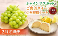 [2回定期便]高評価!シャインマスカットとご褒美スイーツ定期便(シャインマスカット 2房/信州檸檬ケーキ14個)|[JA信州うえだ/御菓子処花岡]ぶどう 葡萄 大粒 果物 フルーツ 菓子 頒布会 長野