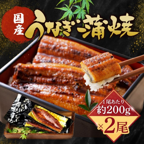 【国産うなぎ蒲焼】200g×2尾（合計400g） 2675264 - 福岡県篠栗町