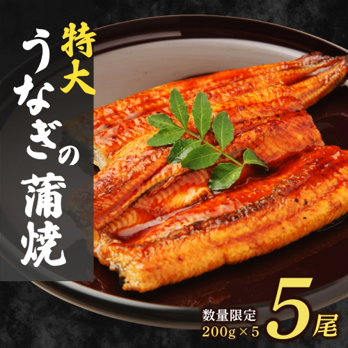 大容量1kg！特大うなぎ蒲焼200g×5尾 2675268 - 福岡県篠栗町