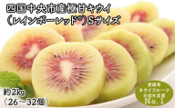 【ぽぽ農園】レインボーレッドキウイ（四国中央市産レインボーレッド） S サイズ 約2kg（26個～32個）