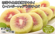 【ぽぽ農園】レインボーレッドキウイ（四国中央市産レインボーレッド） SS サイズ 約3.5kg（66個～77個）