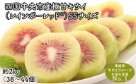 【ぽぽ農園】レインボーレッドキウイ（四国中央市産レインボーレッド） SS サイズ 約2kg（38個～44個）