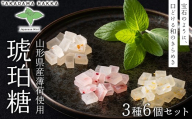 【高擶薄荷】山形県産 在来種の薄荷使用！ 琥珀糖3種6個セット（遊佐レモン2袋・山形ラズベリー2袋・大江すもも2袋） F2Y-7004