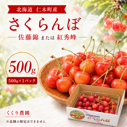2027年発送 北海道 仁木町産 さくらんぼ 500g 佐藤錦または紅秀峰 果樹 サクランボ チェリー フルーツ 果物 果物類 ギフト 仁木町 仁木 [くくり農園] 2676016 - 北海道仁木町