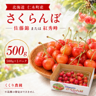 2027年発送 北海道 仁木町産 さくらんぼ 500g 佐藤錦または紅秀峰 果樹 サクランボ チェリー フルーツ 果物 果物類 ギフト 仁木町 仁木 [くくり農園]