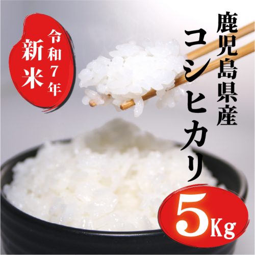 令和7年産 鹿児島県産 コシヒカリ  5kg  2676022 - 鹿児島県肝付町